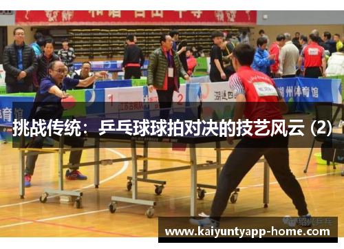 挑战传统：乒乓球球拍对决的技艺风云 (2)